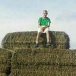 Profile Picture of Nicholas Hoeykens (@nicholashoeykens) on Instagram