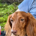 Profile Picture of Jane Stackpole (@jane.stackpole.71) on Facebook
