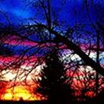 Profile Picture of Nancy Toben (@n.toben) on Instagram
