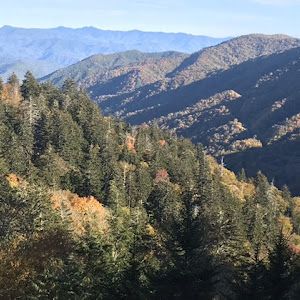 Profile Picture of marthascroggins (@marthascroggins) on Tiktok