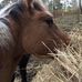 Profile Picture of Kevin Axelsson (@kevin.axelsson.777) on Facebook