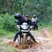 Profile Picture of Nick Clarke (@nicholas1clarke) on Pinterest