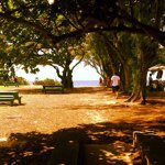 Brad Jenson - Instagram Profile Picture of Brad Jenson (@jensonbrad) on Instagram