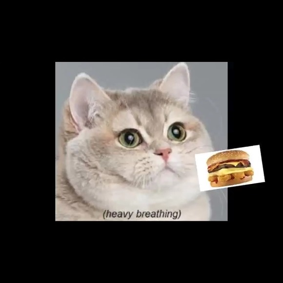 Profile Picture of Jessica Brindamour (@jlbrindamour) on Poshmark