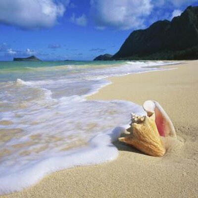 Profile Picture of Michael Maltby (@michaelmaltby) on Twitter