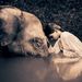Profile Picture of Julie Forrest (@julie) on Pinterest