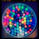 Profile Picture of Sandy Jacobson (@wizardteamdeck) on Instagram