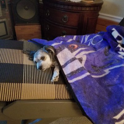 Profile Picture of Brian Pippin (@BrianPippin6) on Twitter