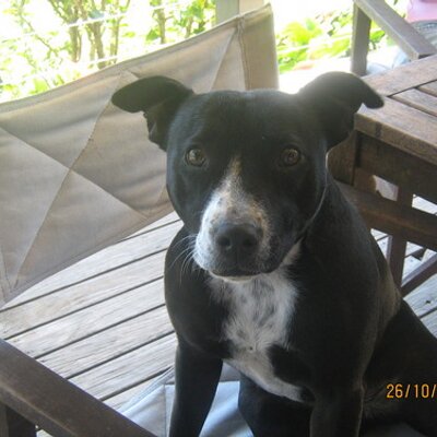 Profile Picture of Joel Carter (@joelcarter71) on Twitter