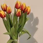 Profile Picture of Sandra Cluley (@Sandra-Cluley) on Facebook