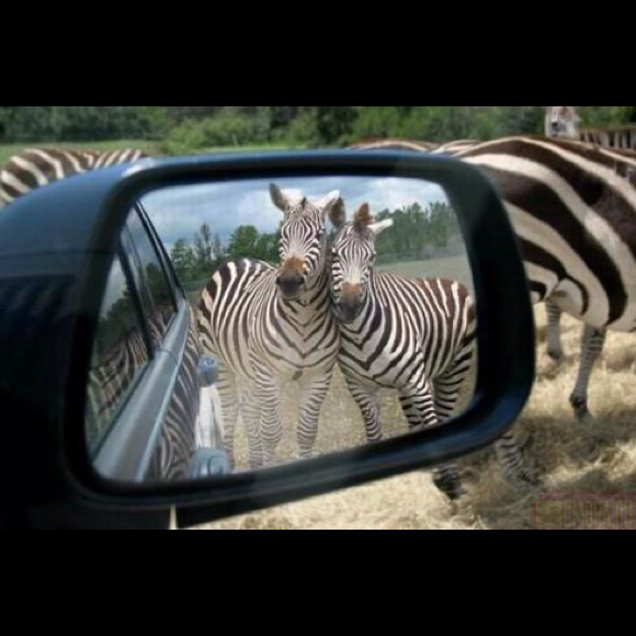 Sharon Lentine - Poshmark Profile Picture of Sharon Lentine (@slentine1) on Poshmark