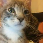 Tasha Bragg - Instagram Profile Picture of Tasha Bragg (@braggtasha) on Instagram