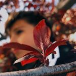 Profile Picture of Andrew_Aderman (@andrew_aderman) on Instagram