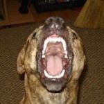 Profile Picture of Barry Reynolds (@barry.reynolds83) on Instagram