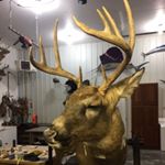 Profile Picture of Chad Patch (@mr._patch) on Instagram