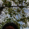 Profile Picture of Shirley Slyvester (@@shirleyslyvester) on Tiktok