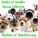 Profile Picture of Lynne Fowler - OodlesofDoodles (@oofdoodles) on Pinterest