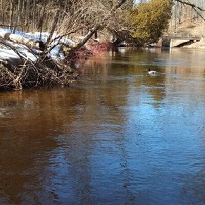 Profile Picture of Pete Piotrowski (@peterpiotrowsk2) on Twitter