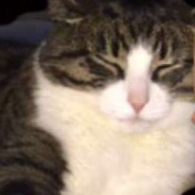 Profile Picture of johannesblomquist (@johannesblomquist) on Tiktok