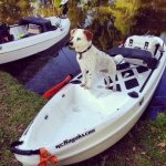 Profile Picture of Corey Coghlan (@coreycoghlan) on Instagram