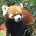 Profile Picture of Lai IP (@lai.ip.581) on Facebook