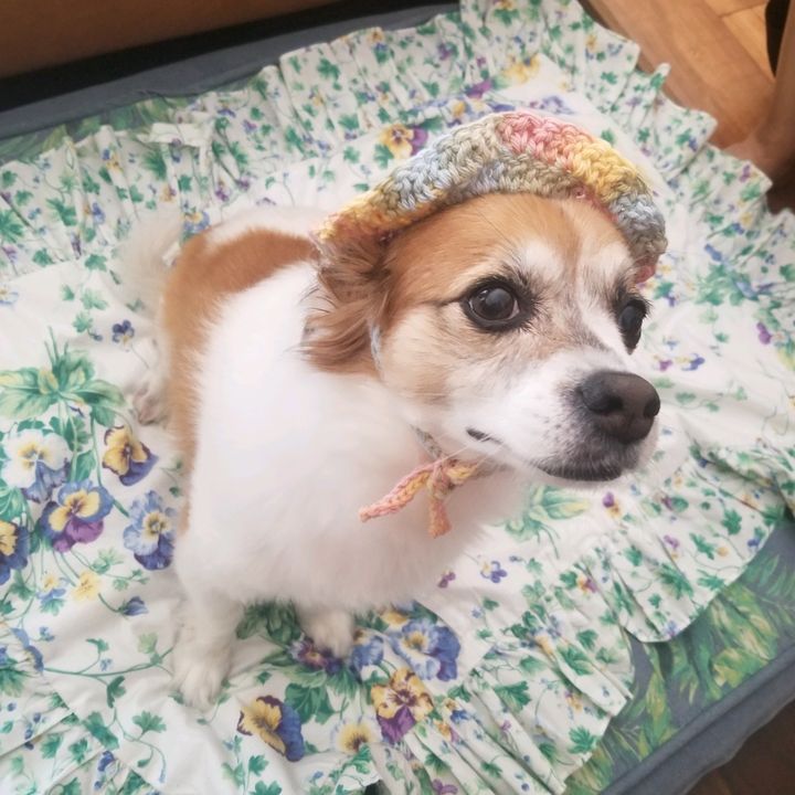 Profile Picture of shreen.beann (@shreen.beann) on Tiktok