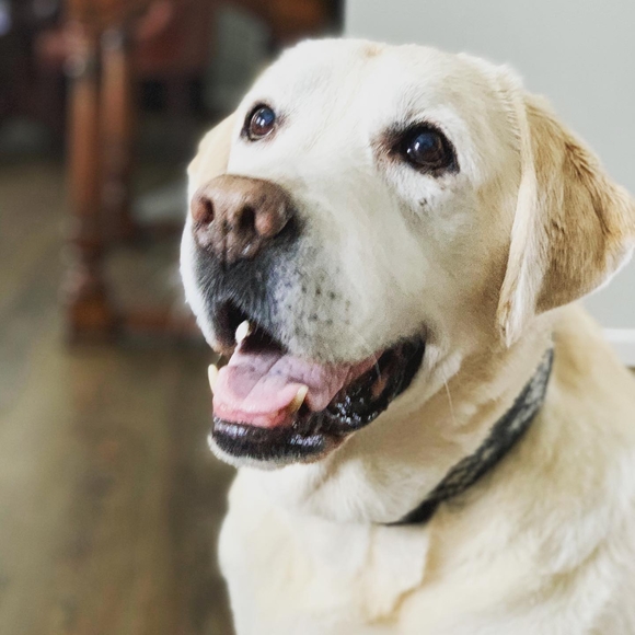 Natalie Divney - Poshmark Profile Picture of Natalie Divney (@nataliesolomon1) on Poshmark