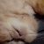 Profile Picture of ChaoYu Lin (@chaoyulin5) on Pinterest