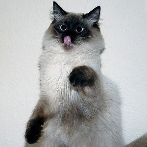 Profile Picture of John Weessies (@373175432) on Myspace