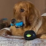 Profile Picture of Stephanie Maurine Thomason (@velvet_snow) on Instagram