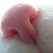 Profile Picture of Francesca Anedda (@ninnivrij) on Pinterest