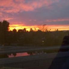 Profile Picture of Jason Shindler (@ShinD2015) on Twitter