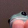 Profile Picture of Ian Wolf (@@ianwolf1) on Tiktok