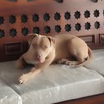 Profile Picture of Porter Edu (@edusoledad12) on Facebook