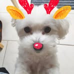 Profile Picture of Al Bart (@Al-Bart) on Facebook