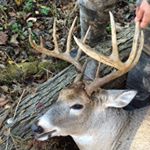 Profile Picture of John Gioffredi (@johngioffredi1) on Instagram