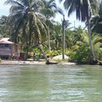 Profile Picture of Vladimir Jimmy Thomas (@vladlife) on Instagram