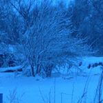 Profile Picture of Dylan Bice (@bice_dylan) on Instagram