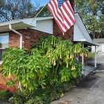 Profile Picture of Michael Standridge (@michael.standridge.7927) on Instagram