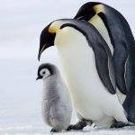 Profile Picture of Tom Hainey (@haineytom) on Instagram