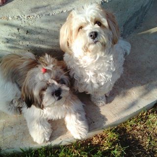 Profile Picture of Paul Ioniță (@paul.ionita.75685) on Facebook