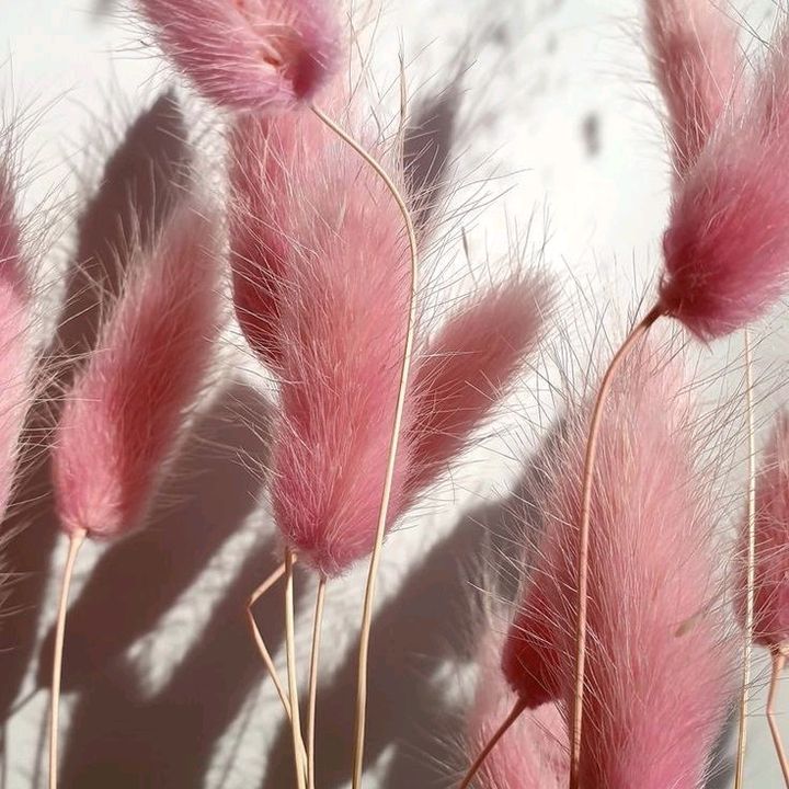 Profile Picture of Cassandra (@cassandravey) on Tiktok