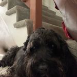 Profile Picture of Jerramy Askew (@jerramyaskew07) on Instagram