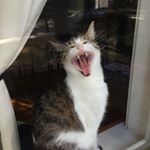 Profile Picture of Audrey Magnuson (@audg1) on Instagram