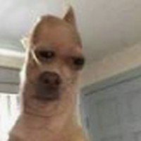 Profile Picture of Preston Garner (@preston-garner-13) on Quora