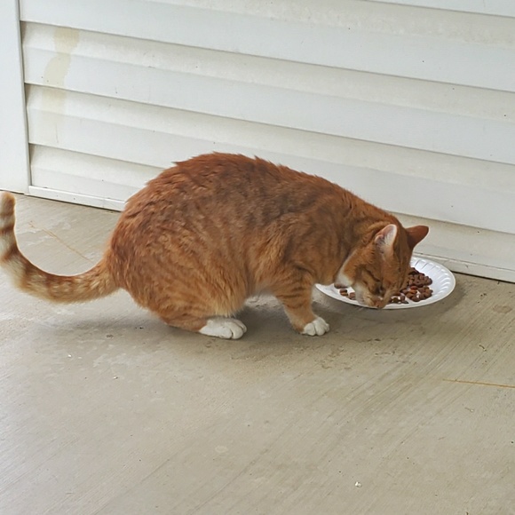 Profile Picture of Tony Robertson (@tonyrobbs) on Poshmark