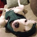 Profile Picture of Craig Mullan (@craigmulla17) on Instagram