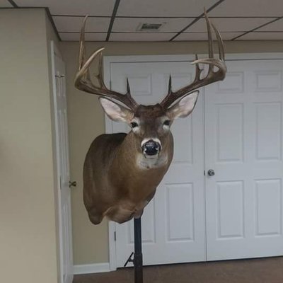 Profile Picture of Larry McConnell (@LarryMc72827658) on Twitter