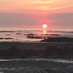 Isabelle Jolly Patout - Instagram Profile Picture of Isabelle Jolly Patout (@jollypatout) on Instagram