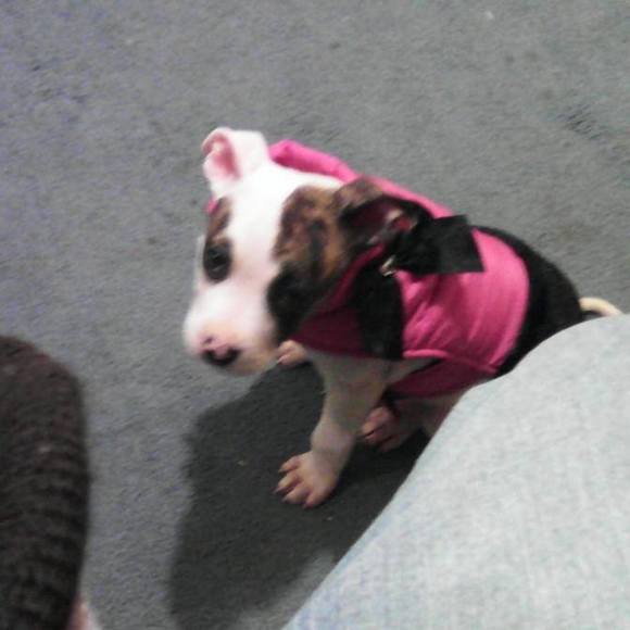 Profile Picture of Bobby Cox (@taylar98) on Poshmark